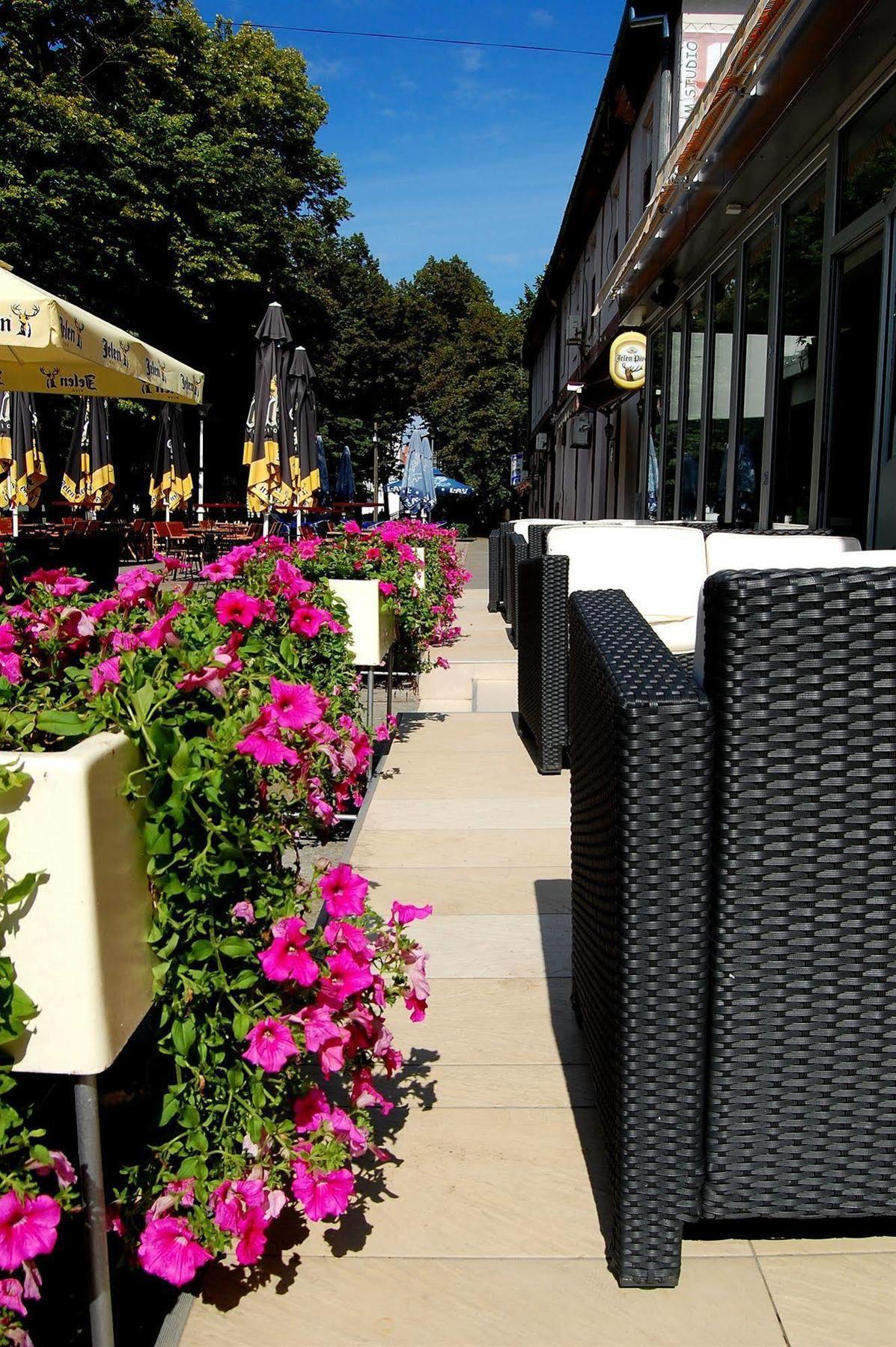 Hotel Tiski Cvet Novi Becej Ngoại thất bức ảnh